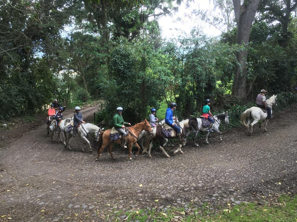 Hacienda La Alegria Hotel Eksteriør billede